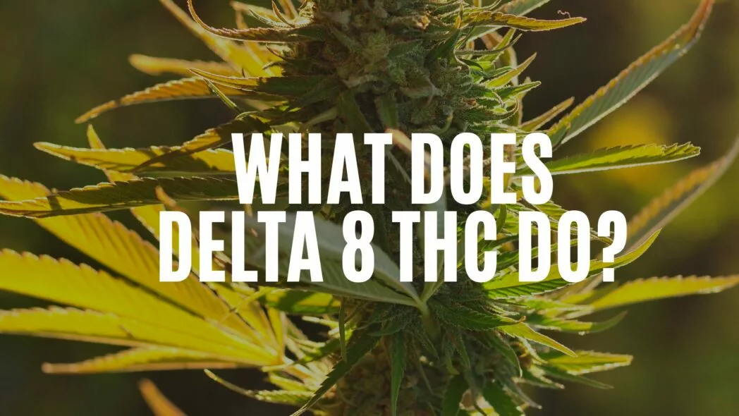 canna-optimize.kn.blz.au | Shop Bulk Delta-8 THC, Bulk HHC and other hemp products online
