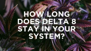 canna-optimize.kn.blz.au | Shop Bulk Delta-8 THC, Bulk HHC and other hemp products online