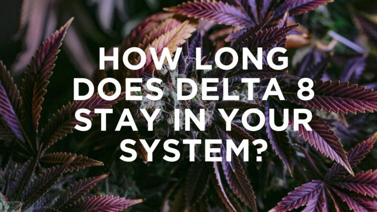 canna-optimize.kn.blz.au | Shop Bulk Delta-8 THC, Bulk HHC and other hemp products online