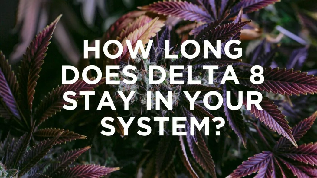 canna-optimize.kn.blz.au | Shop Bulk Delta-8 THC, Bulk HHC and other hemp products online