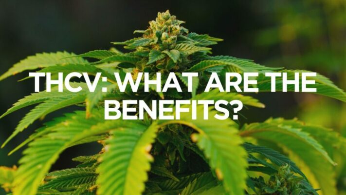 canna-optimize.kn.blz.au | Shop Bulk Delta-8 THC, Bulk HHC and other hemp products online