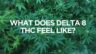 canna-optimize.kn.blz.au | Shop Bulk Delta-8 THC, Bulk HHC and other hemp products online