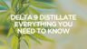 canna-optimize.kn.blz.au | Shop Bulk Delta-8 THC, Bulk HHC and other hemp products online