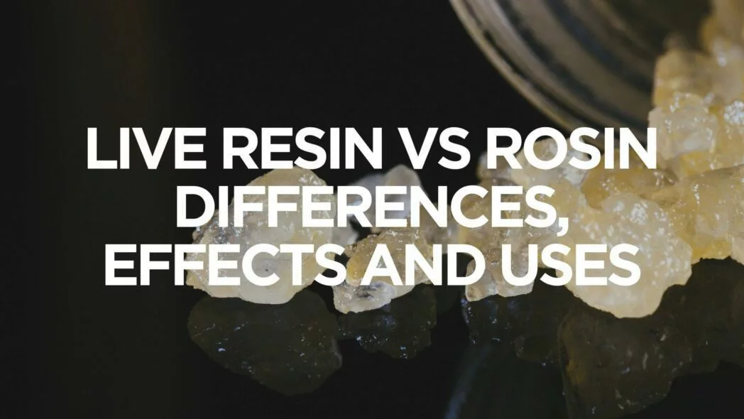 canna-optimize.kn.blz.au | Shop Bulk Delta-8 THC, Bulk HHC and other hemp products online