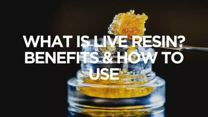 canna-optimize.kn.blz.au | Shop Bulk Delta-8 THC, Bulk HHC and other hemp products online