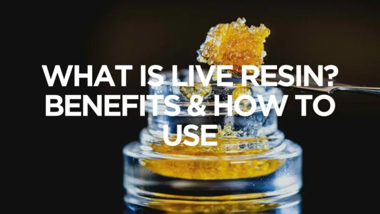 canna-optimize.kn.blz.au | Shop Bulk Delta-8 THC, Bulk HHC and other hemp products online