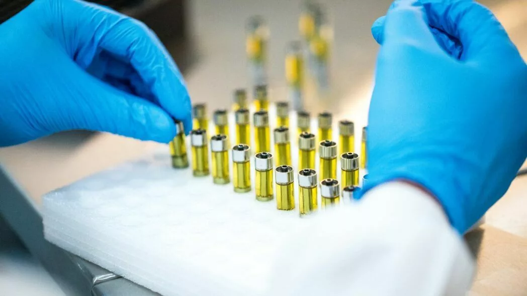 canna-optimize.kn.blz.au | Shop Bulk Delta-8 THC, Bulk HHC and other hemp products online