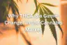 why thca is a game changer in the cannabis market