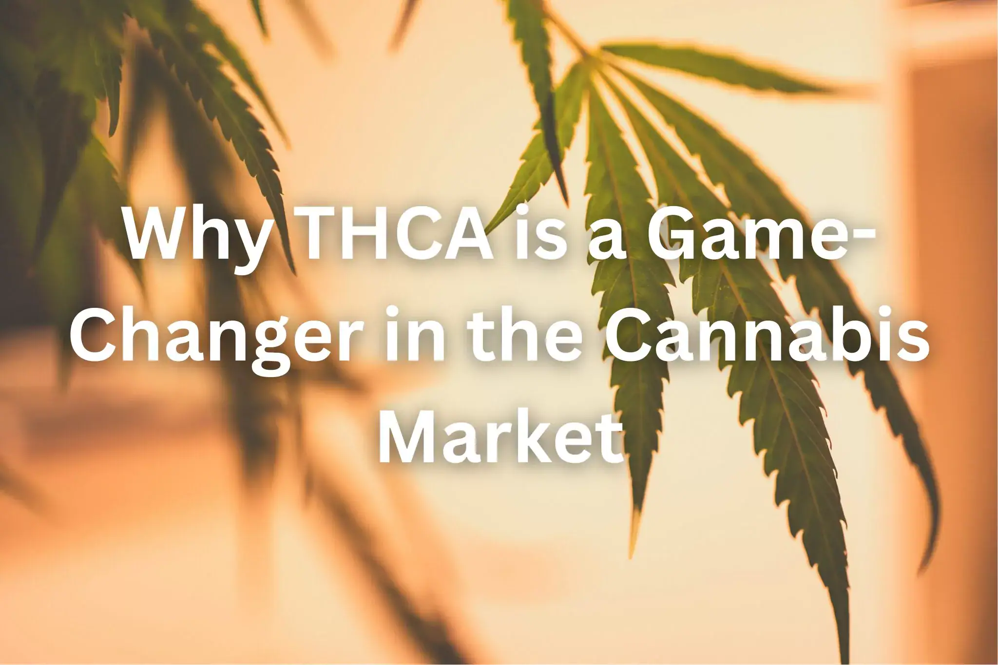 why thca is a game changer in the cannabis market