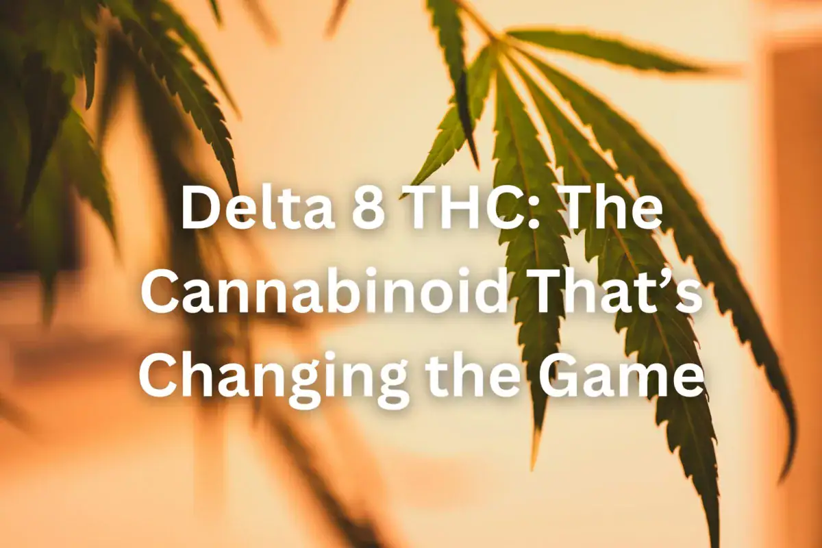 Delta 8 THC: The Cannabinoid That’s Changing the Game