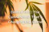Delta 8 THC: The Cannabinoid That’s Changing the Game
