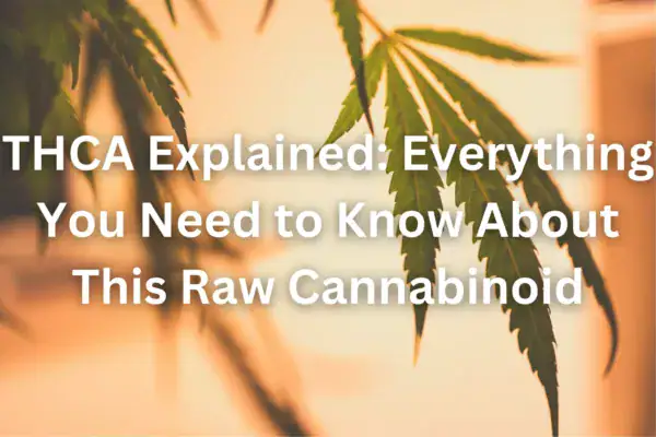 THCA Explained: Everything You Need to Know About This Raw Cannabinoid